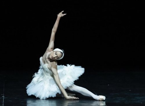 Paris Opera BalletConcert pour Ukrainephoto: Julien Benhamou