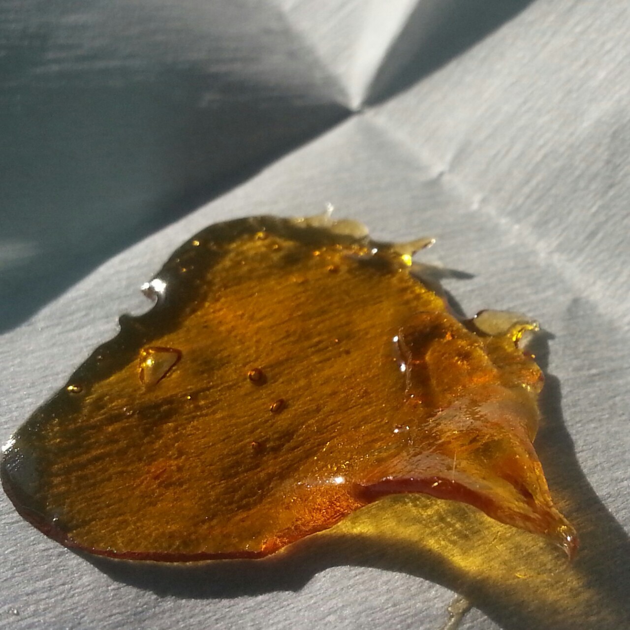 kushmagnet:  Terps for days