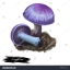 bigfungus7