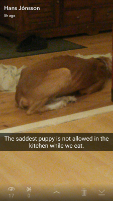 miniar:Come find me… hansmjons on snapchat… For more dog and stuff why he look like roast chicken