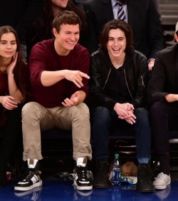 cashtonssolangelo:Timothée Chalamet and Angel Elgort at the the Knicks vs Celtics game