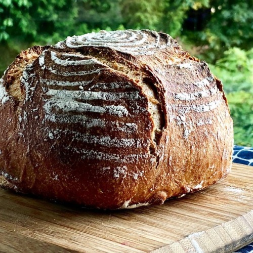 Sourdough 100% white whole wheat flour. So happy with the rise of this recipe. Cutting into it ASAP!