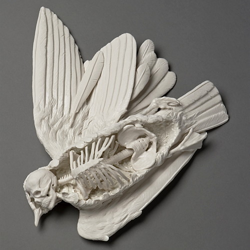 karaschneikart:  strangebiology:Sculptures by Kate MacDowell.  These are insane