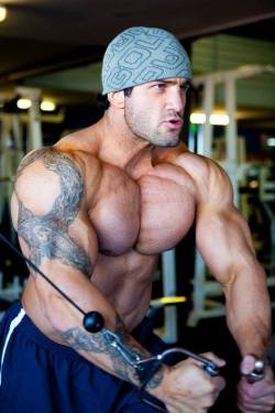 garnetprince:  Hot Pecs