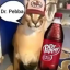 breadpye