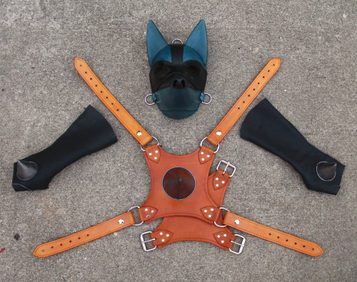 Heres Some Preliminary Photos Of A Lucario Costume Im Making. The Goal Is A Gijinka Style Outfit--not