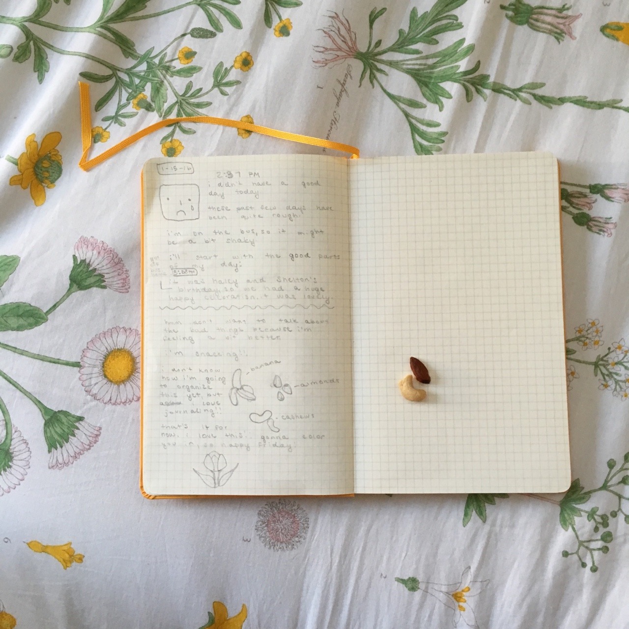 honeytub:  doodling in my journal,, pre &amp; post colors ig: @cosybee 🍌🌰