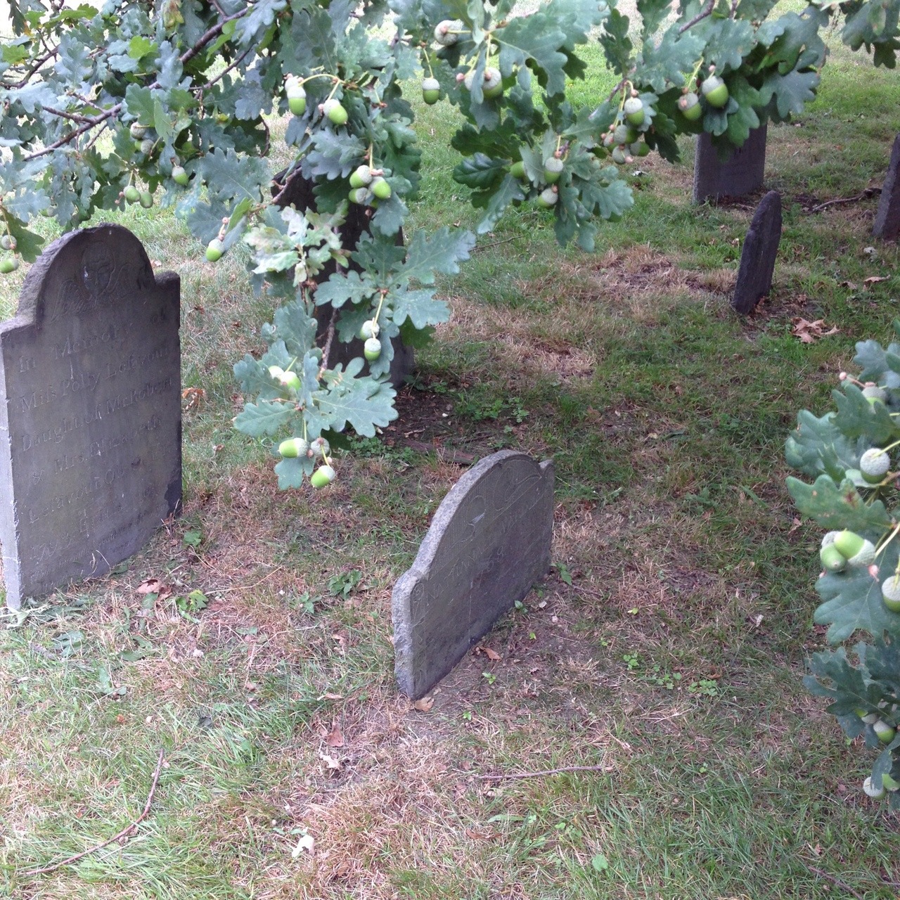 the burying point cemetery in salem, MA.