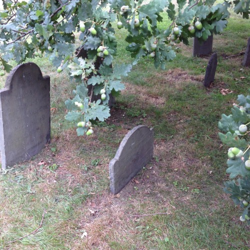 the burying point cemetery in salem, MA.