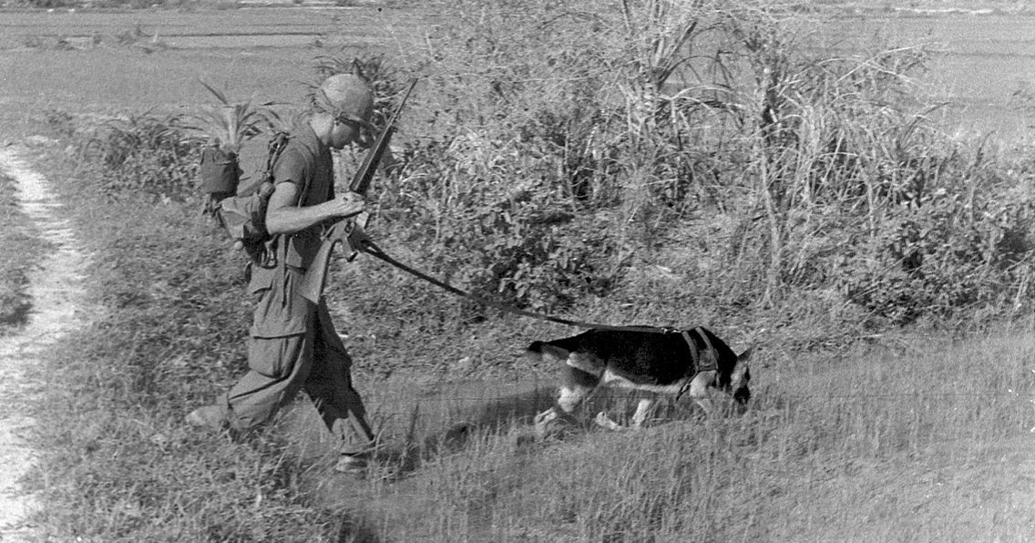 warhistoryonline:  Dogs of War – Canines Have Performed Many Invaluable Roles In