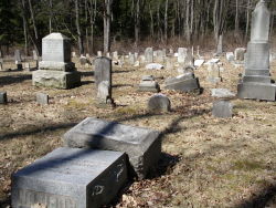 Skeleton-Pond:ghost Town Of Alvira, Pennsylvania