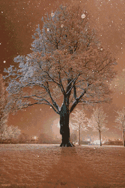 lollinlo:  I’d love it to be like this, this winter ^_^ 