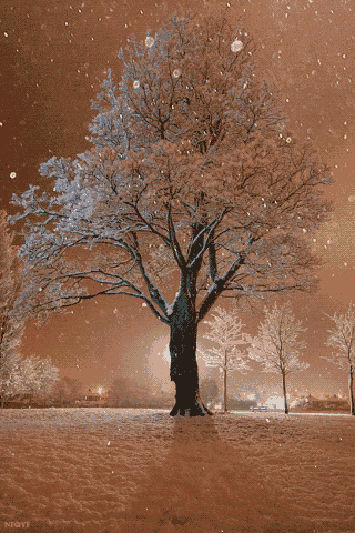 Laura's Magical Room on Tumblr: Falling snow