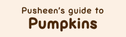 pumpkin lol October is pumpkin❤️