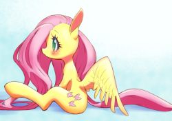 conbudou: Fluttershy <3