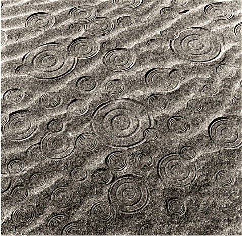 staceythinx:  The wonderfully clever work of Chema Madoz 