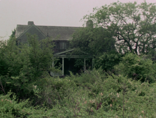 filmswithoutfaces:Grey Gardens (1975)dir. Albert Maysles, David Maysles, Ellen Hovde, Muffie Meyer