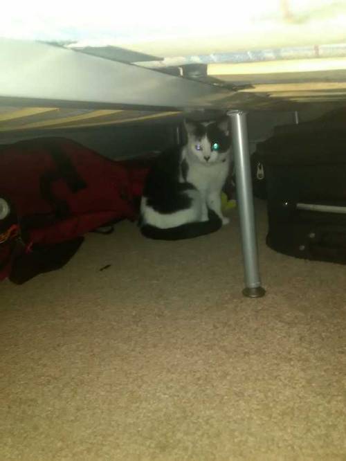Batman in the batcave
