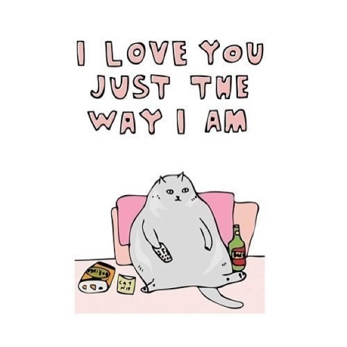 Sex #cat #fat #love I really do.   😜 pictures