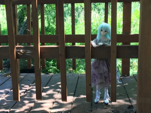 Miku and Vanilla in the Secret Garden, at the Oregon Gardens in Silverton, Oregon.