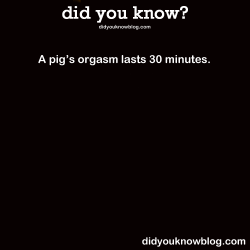 mdshorsinaround:  did-you-kno:  Source   