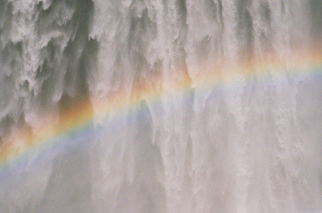 untrustyou:  Tania Shcheglova 