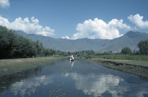 Shalimar Bagh, Kashmir