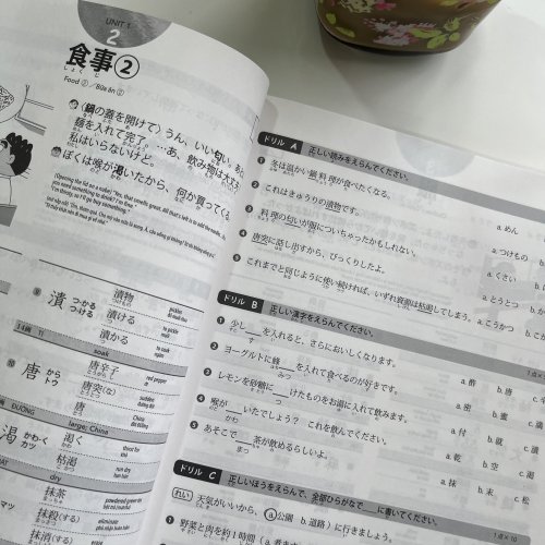 Reviewing N2 While Studying Kanji N1