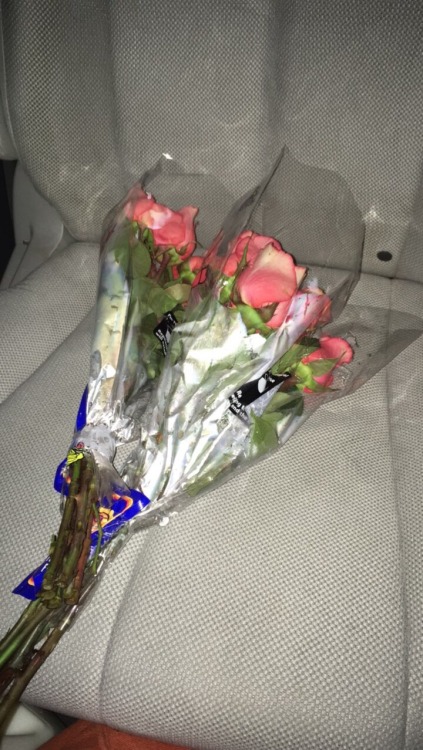 ibuprofenpm: cheap aldi roses in the backseat of the minivan