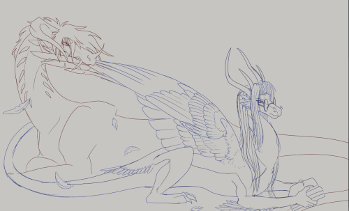 Local Vampire Dragon Preens Wifes Feathers.