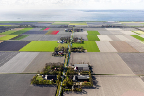 thekhooll:ManMade LandSiebe Swart“The Low Land” is a project about the present, past and