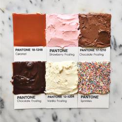 nevver:  Pantone by Lucy 