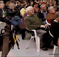 domipjc:  Gif Animé Humour  Pour  toutes ces images trouvées sur le net, un grand merci à leurs Créateurs. Merci de bien vouloir m'indiquer les Gifs que vous souhaiteriez que je supprime.