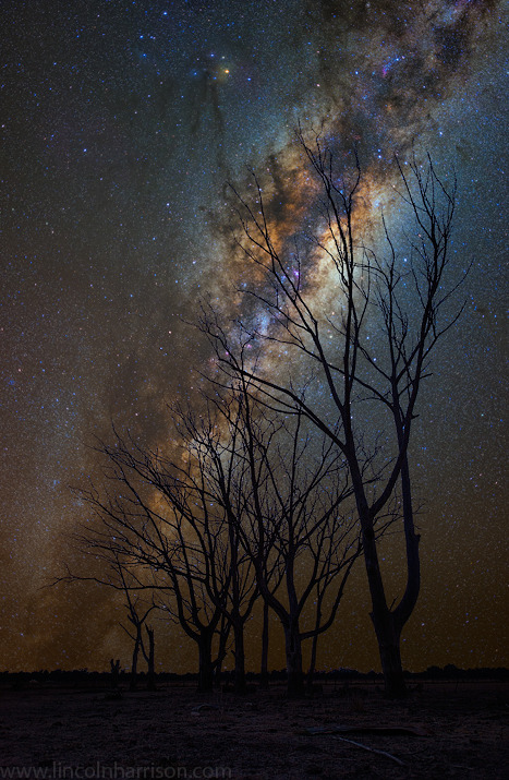 odditiesoflife:  Stars Become the Night  Australian photographer Lincoln Harrison