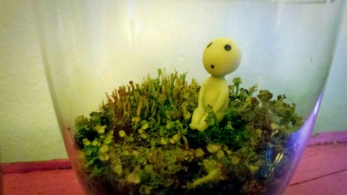 One of my hobbies. I really enjoy making terrariums and decorating them. I made the kodama by mixing