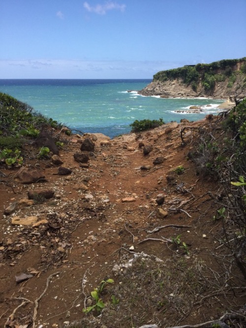 Dominica has so many amazing vistas. Snoop and I check out the north east coast near Calibishie. Win