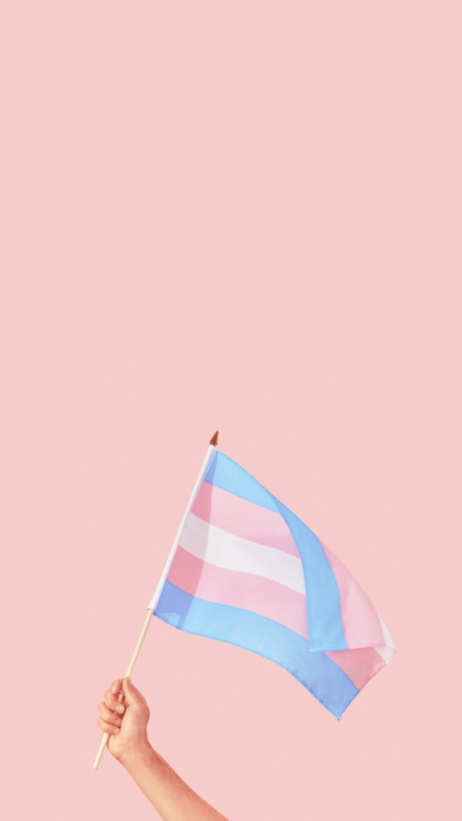 Happy Trans Visibility Day!i’m two days late, sorry ;-;for all you beautiful people <3