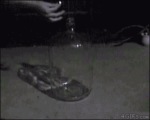 sixpenceee:  Flammable fluid in a gas jar. Who said science wasn’t cool ? 