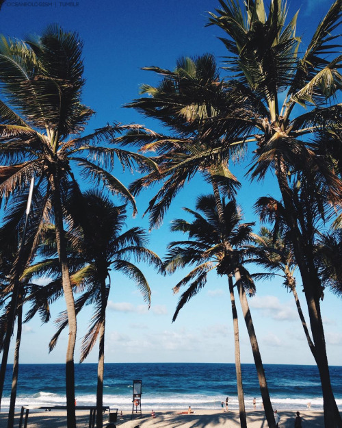 oceaneologism: ocean blog