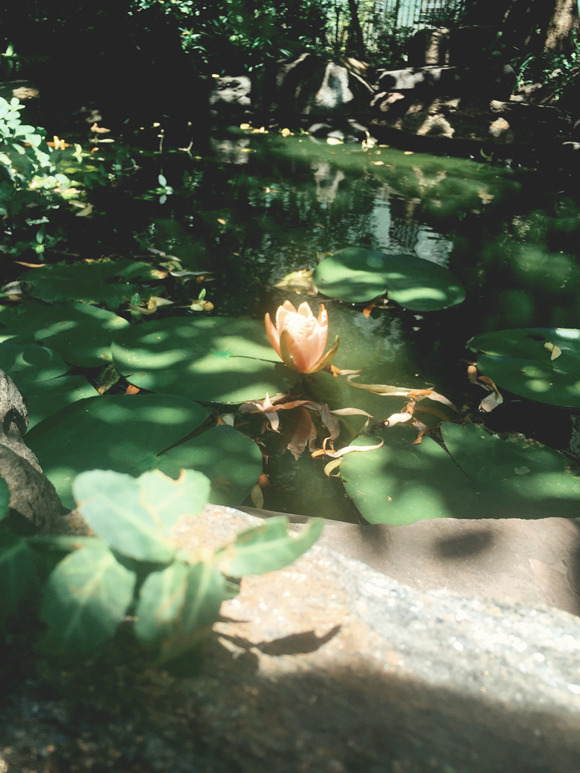 freepeople:  “It’s beautiful, it’s peaceful…and I owe my discovery of it