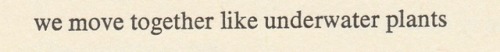 lecataste:Adrienne Rich | “Walking in the Dark” | Diving into the Wreck | 1973