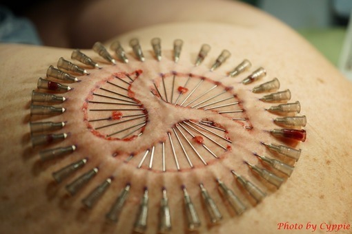 keres-nirvana:  masterzack52:  It’s like I tell everyone, sadism is an art. It’s