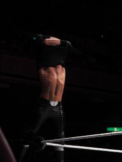 houndsofhotness: sethrollinssource:  im dead..