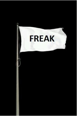 thejacketrabbi:  hptals:  temptress-in-training:  Long may it wave!  Let it fly, high, and proud, fuckers!   #DamnFuckinStraight  Putting my flag back out, fuckers!