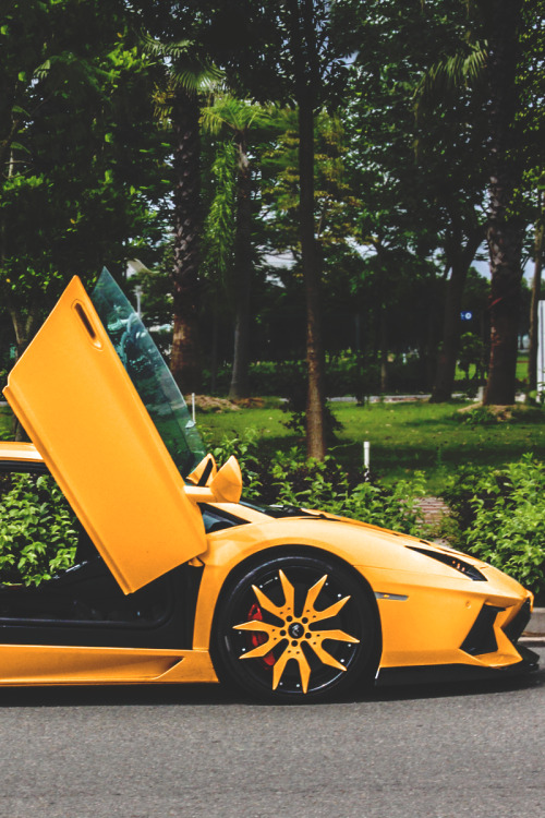 just7up:  classyhustler:   DMC Aventador | photographer  Those rims are sexy 
