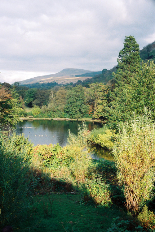 BreconBeacons31_sml by Laura DempseyVia Flickr:Brecon Beacons, autumn 2015. Expired film.