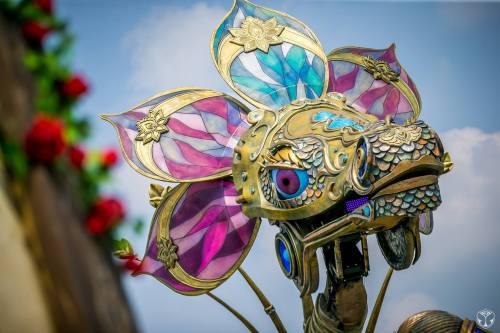 tarmahartley:dandychild:thefabulousweirdtrotters:How fabulous is that!? Dragon at Tomorrowland 2016 