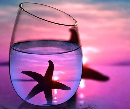 all-things-pink-pink-pink:  http://favim.com/image/5144898/