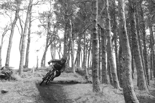 ia1n:  Winter Trails
