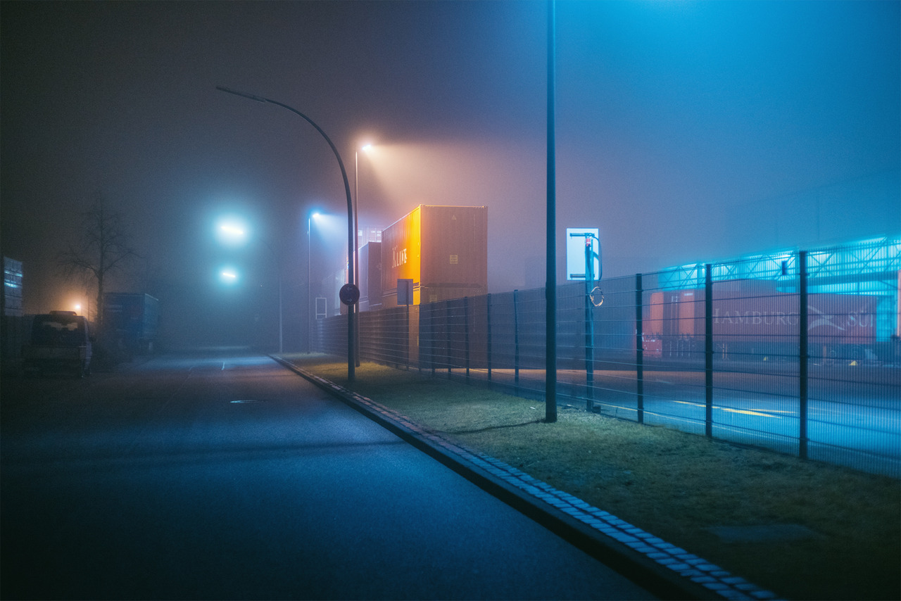 The Neon Meadow
